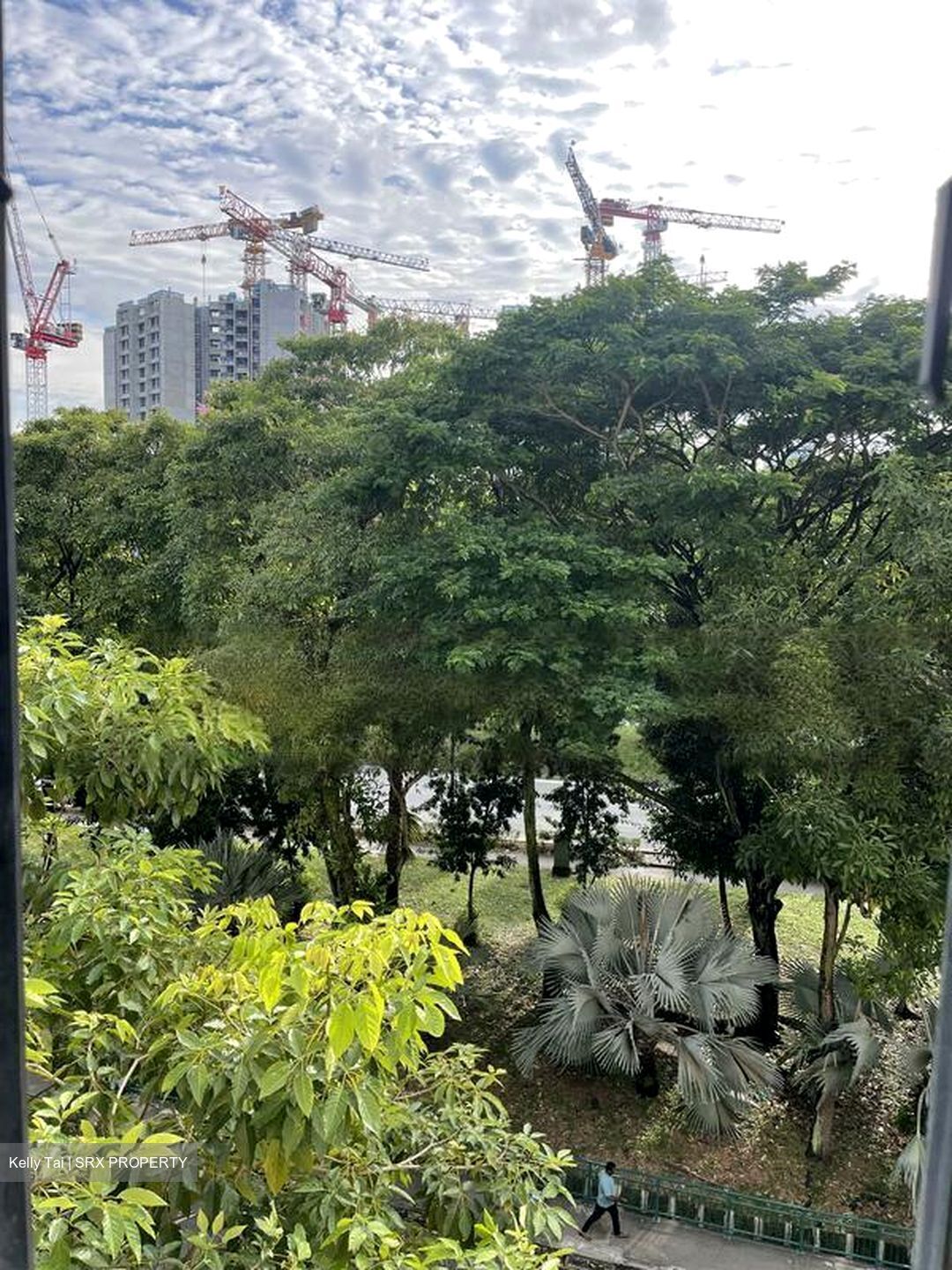 Fern Lodge (D14), Apartment #480518091